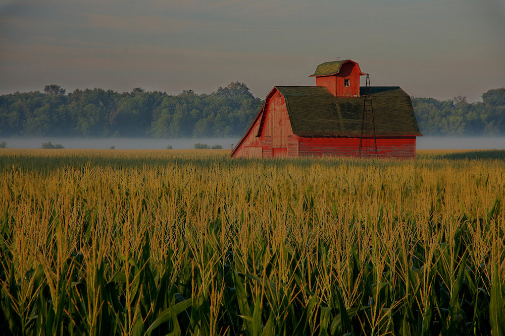 farm and crop insurance Sacramento CA